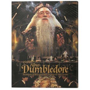 Obraz na plátně Harry Potter - Dumbledore, (40 x 50 cm)