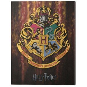 Obraz na plátně Harry Potter - Hogwarts Crest, (60 x 80 cm)