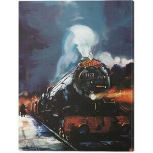 Obraz na plátně Harry Potter - Hogwarts Express, (60 x 80 cm)