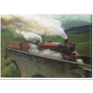 Obraz na plátně Harry Potter - Hogwarts Express Landscape, (60 x 80 cm)