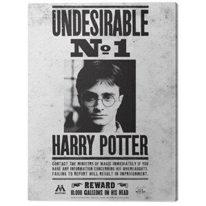 Obraz na plátně Harry Potter - Undesirable No.1, (60 x 80 cm)