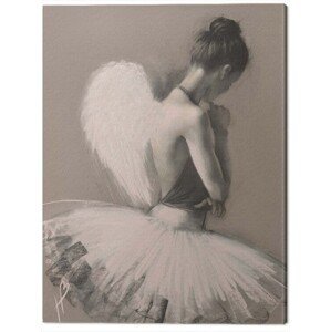 Obraz na plátně Hazel Bowman - Angel Wings II, (60 x 80 cm)
