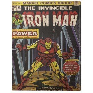 Obraz na plátně Iron Man - Power, (30 x 40 cm)