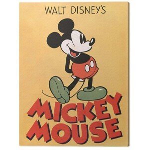 Obraz na plátně Mickey Mouse, (30 x 40 cm)