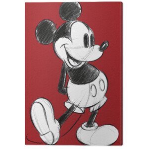 Obraz na plátně Mickey Mouse - Retro Red, (60 x 80 cm)
