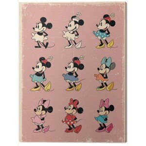 Obraz na plátně Minnie Mouse - Evolution, (80 x 60 cm)