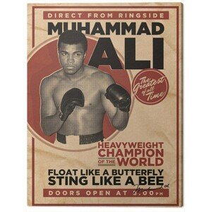 Obraz na plátně Muhammad Ali - Retro - Corbis, (60 x 80 cm)