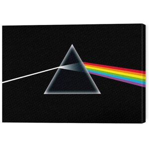 Obraz na plátně Pink Floyd - Dark Side of the Moon, (30 x 40 cm)