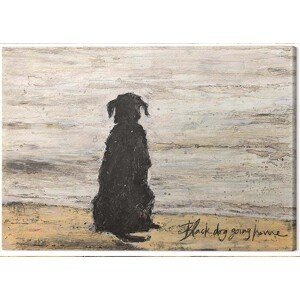 Obraz na plátně Sam Toft - Black Dog Going Home, (30 x 40 cm)