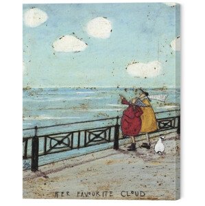 Obraz na plátně Sam Toft - Her Favourite Cloud, (40 x 50 cm)