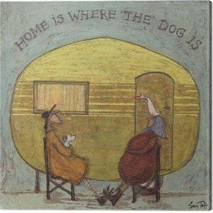 Obraz na plátně Sam Toft - Home is Where the Dog is, (40 x 40 cm)