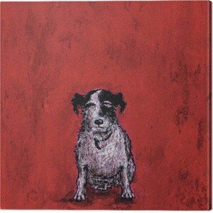 Obraz na plátně Sam Toft - Small Dog, (40 x 40 cm)