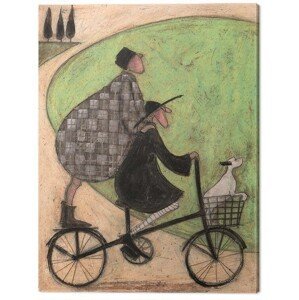 Obraz na plátně Sam Toft - Double Decker Bike, (60 x 80 cm)