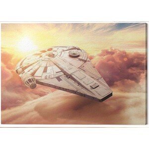 Obraz na plátně Solo: A Star Wars Story - Millennium Falcon, (60 x 80 cm)