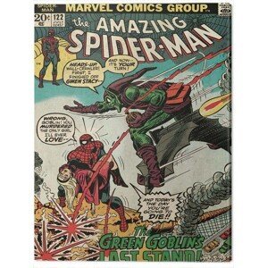 Obraz na plátně Spider-Man - Green Goblin, (60 x 80 cm)