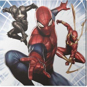 Obraz na plátně Spider-Man - Trio, (40 x 40 cm)