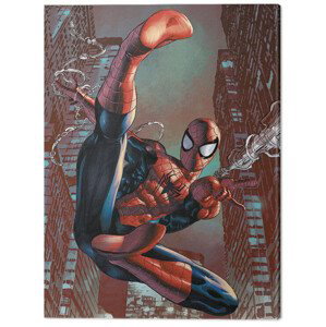 Obraz na plátně Spider-Man - Web Sling, (40 x 40 cm)