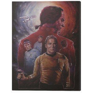 Obraz na plátně Star Trek - Space Seed - 50th Anniversary, (60 x 80 cm)