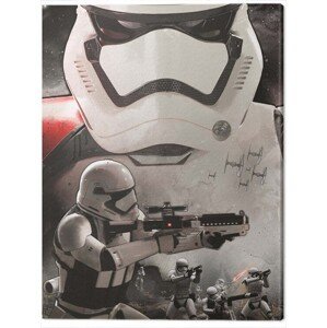 Obraz na plátně Star Wars Episode VII - Stormtrooper Art, (60 x 80 cm)