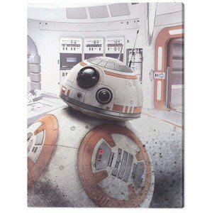 Obraz na plátně Star Wars The Last Jedi - BB - 8 Peek, (60 x 80 cm)