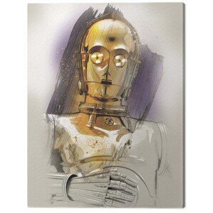 Obraz na plátně Star Wars The Last Jedi - C - 3PO Brushstroke, (60 x 80 cm)