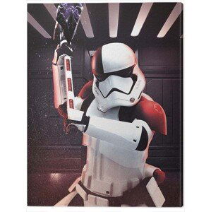 Obraz na plátně Star Wars The Last Jedi - Executioner Trooper, (60 x 80 cm)
