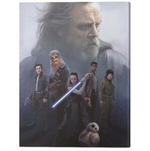 Obraz na plátně Star Wars The Last Jedi - Hope, (60 x 80 cm)
