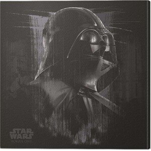 Obraz na plátně Star Wars: Rogue One - Darth Vader Black, (40 x 40 cm)