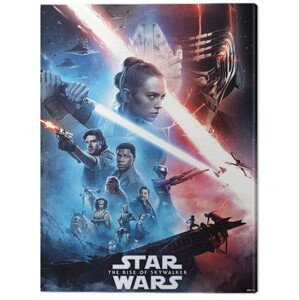 Obraz na plátně Star Wars: The Rise of Skywalker - Saga, (60 x 80 cm)