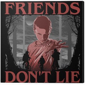 Obraz na plátně Stranger Things - Friends Don't Lie, (40 x 40 cm)