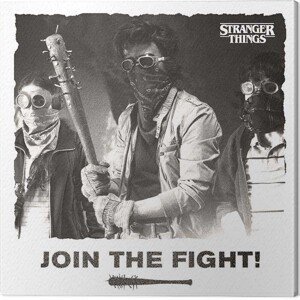 Obraz na plátně Stranger Things - Join the Fight, (40 x 40 cm)