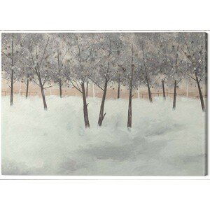 Obraz na plátně Stuart Roy - Silver Trees on White, (60 x 80 cm)