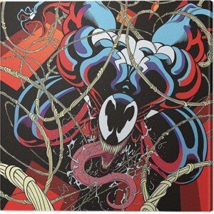 Obraz na plátně Venom - Symbiote free fall, (40 x 40 cm)
