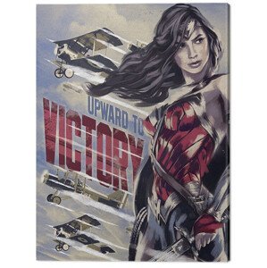 Obraz na plátně Wonder Woman - Upward To Victory, (60 x 80 cm)