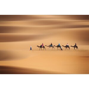 Umělecká fotografie Desert caravan, Clas Gustafson PRO, (40 x 26.7 cm)