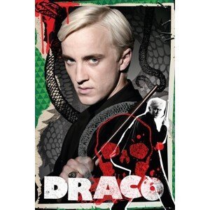 Plakát, Obraz - Harry Potter - Draco, (61 x 91.5 cm)