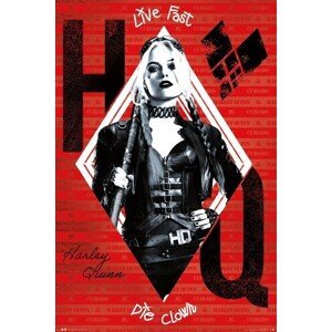 Plakát, Obraz - The Suicide Squad - Harley Quinn, (61 x 91.5 cm)