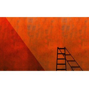 Umělecká fotografie A ladder and its shadow, Inge Schuster, (40 x 24.6 cm)