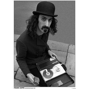 Plakát, Obraz - Frank Zappa - Buckingham Palace, (59.4 x 84.1 cm)