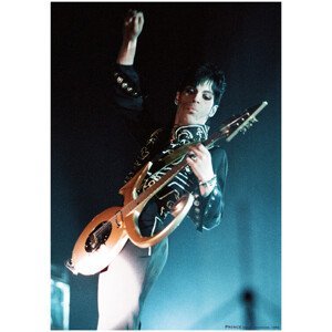 Plakát, Obraz - Prince - Live shot, N.E.C. Birmingham 2005, (59.4 x 84.1 cm)