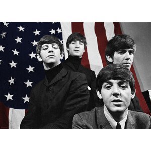 Plakát, Obraz - The Beatles, (84.1 x 59.4 cm)