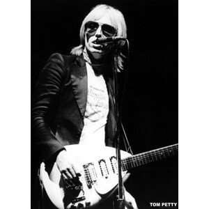 Plakát, Obraz - Tom Petty, (59.4 x 84.1 cm)