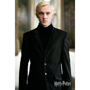 Umělecký tisk Harry Potter - Draco Malfoy, (26.7 x 40 cm)