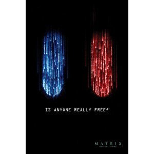 Umělecký tisk Matrix - Je někdo opravdu volný?, (26.7 x 40 cm)