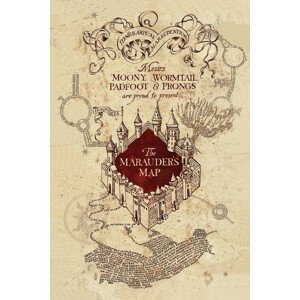 Umělecký tisk Harry Potter - Pobertův plánek, (26.7 x 40 cm)