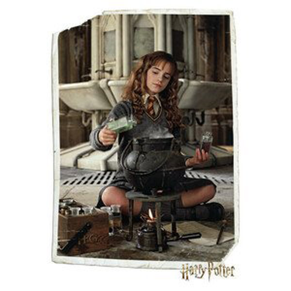 Plakát, Obraz - Harry Potter - Hermiona, (61 x 91.5 cm)