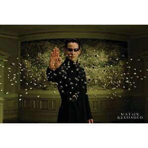 Umělecký tisk Matrix Reloaded - Bullets, (40 x 26.7 cm)