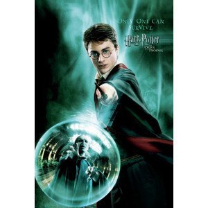Umělecký tisk Harry Potter  - Only one can survive, (26.7 x 40 cm)