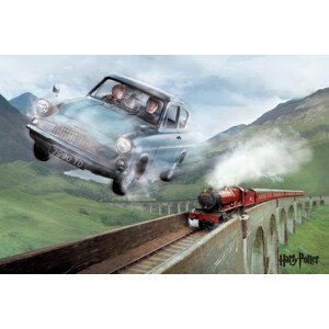 Umělecký tisk Harry Potter - Flying Ford Anglia, (40 x 26.7 cm)