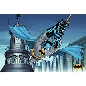 Umělecký tisk Batman - Night savior, (40 x 26.7 cm)